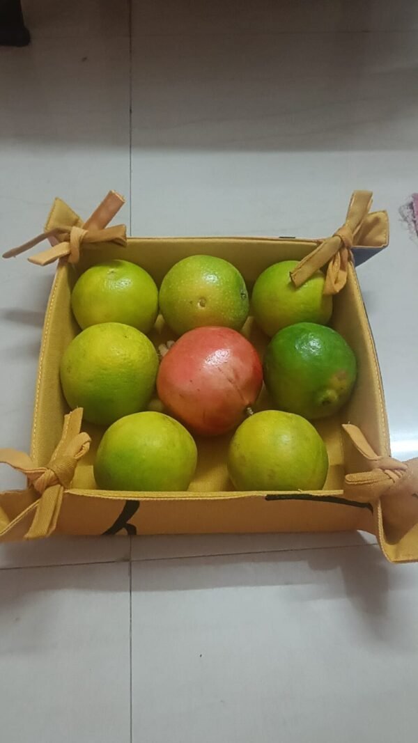 Cotton Foldable Tray